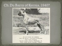 /album/%cf%80%ce%b7%ce%b3%ce%ae-%3a-boxernews-forumcommunity-net/%ce%b1%ce%bd%cf%84%ce%af%ce%b3%cf%81%ce%b1%cf%86%ce%bf-%ce%b1%cf%80%cf%8c-10710896-731607193561260-3041772613789744288-n-jpg1/